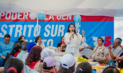 El CNE informó que también se hallaron incongruencias en los informes financieros de otras formaciones políticas / Foto: cortesía Luisa González