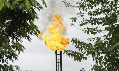 Petroamazonas EP produce alrededor de 425.000 barriles equivalentes de petróleo por día, con un costo total promedio de $ 17,89 por barril.  Foto: El Telégrafo