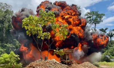 Los funcionarios públicos facilitaban estas actividades mediante salvoconductos falsos / Foto: EFE