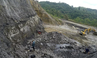 Las piezas serán resguardadas en el Laboratorio de Paleontología de la Escuela Politécnica Nacional en Quito / Foto: cortesía Communications Earth and Environment