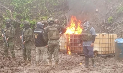 Manzano señaló que actualmente se ejecuta una auditoría nacional a las 208 plantas de beneficio que operan en el país / Foto: cortesía