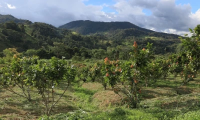 La Comisión Europea clasificó a los países en tres categorías de riesgo: bajo, medio y alto / Foto: El Oriente 