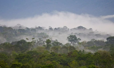Piden a Ecuador y Perú liderar "Plan biorregional" para salvar la Amazonía/ Foto: EFE