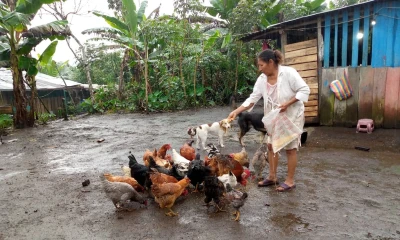 Los beneficiarios tienen visitas periódicas de técnicos del MIES / Foto: cortesía MIES