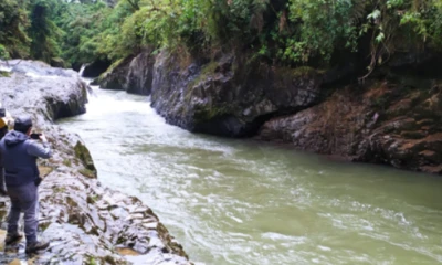 Esta labor será reforzada en diferentes sectores de la Cordillera Occidental y Real, Zona Costanera y Cuenca Amazónica / Foto: IIGE