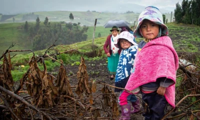 Ecuador ha trabajado en los últimos años con mayor fuerza en el combate a la desnutrición crónica infantil / Foto: cortesía Unicef