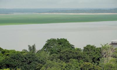 Francia finanza proyecto para proteger millones de hectáreas en la Amazonía / Foto: EFE