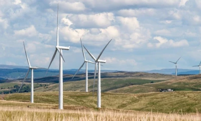 El 19 de agosto, se otorgaron 18 certificados habilitantes a distintas compañías / Foto: Pixabay