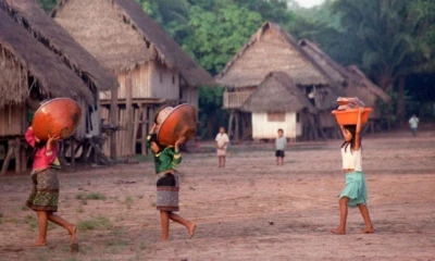 Alertan sobre grupos armados ilegales en sus territorios / Foto: cortesía RSF