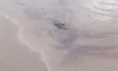 La estatal no ha informado aún sobre la cantidad del hidrocarburo que ha sido vertido por la rotura de la tubería / Foto: cortesia 