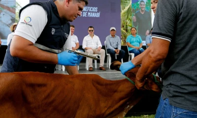 La campaña de vacunación durará 45 días / Foto: cortesía MAG