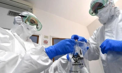 China suspende importación de 2 firmas de Ecuador tras hallar restos de virus / Foto: Ecuavisa