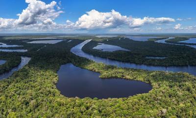 La Amazonía es responsable de generar el 20 % del oxígeno del mundo / Foto: EFE 