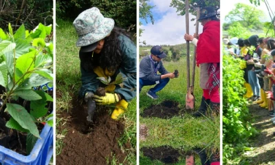 600 personas, entre técnicos, ‘Jóvenes en Acción’ y voluntarios, participaron / Foto: cortesía MAATE