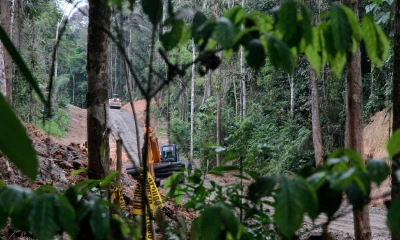 El cuidado del Yasuní es una de las atribuciones de este plan.