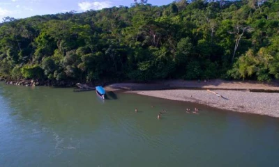 CREENCIA. Los indígenas dicen que las almas de sus seres queridos que fallecen se convierten en árboles. Foto: La Hora