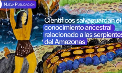 Lograron identificar y catalogar minuciosamente un conjunto de 50 especies/ Foto: cortesía INABIO