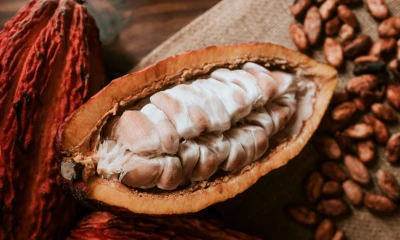 Principales noticias de Ecuador hoy - 21 de febrero de 2024 / Foto: cortesía