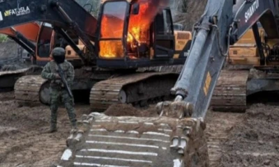 El operativo generó una afectación económica estimada en más de 1,2 millones de dólares a estructuras criminales vinculadas / Foto: cortesía Ministerio de Defensa