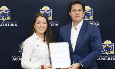 El plan contempla el monitoreo científico de los manglares y la ejecución de proyectos piloto de restauración / Foto: cortesía Acuacultura Ecuador