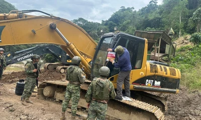 La conversión de la selva en tierras de cultivo y pastizales ha sido una de las principales causas/ Foto: cortesía FF.AA