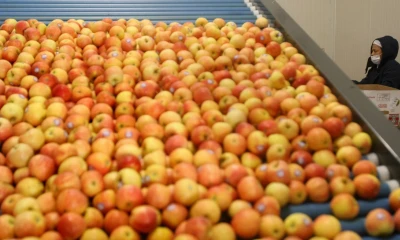 Gremios agropecuarios temen pérdidas por falta de recursos / Foto: EFE