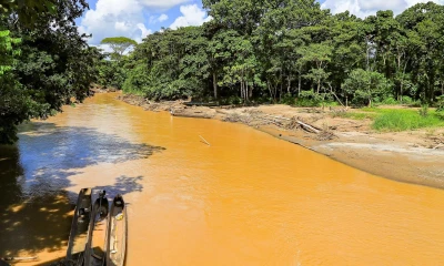 Presentan nuevo Atlas de la Amazonía que ayudará a planificación sostenible / Foto: EFE