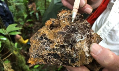 Aurania tiene 42 concesiones en la Cordillera del Cutucú, en Morona Santiago / Foto: cortesía Aurania