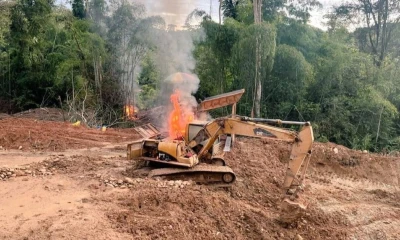 La acción se desarrolló en el sector San Marcos, en la parroquia San José de Guayusa / Foto: cortesía Ejército Ecuatoriano