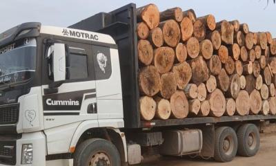 El control se realizó en el sector cercano al aeropuerto local, durante patrullajes de seguridad interna / Foto: cortesía Ejército Ecuatoriano