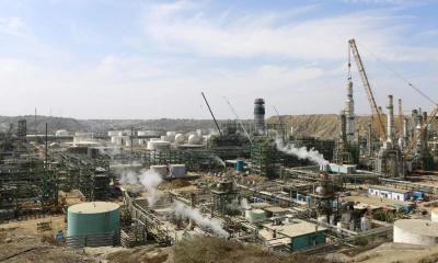 Serfor informó que ha desplegado brigadas para el rescate y rehabilitación de especies / Foto: EFE