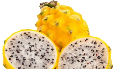 En el país existen 1.528 hectáreas de producción de esta fruta exótica/ Foto: cortesía