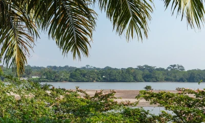 Indígenas entregan 14.000 firmas de apoyo a víctimas de derrame de abril / Foto: Shutterstock