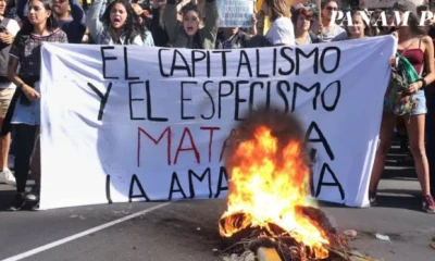 La lucha ambientalista muestra cada día ser no favorable al planeta sino al socialismo. Foto: PanAm Post