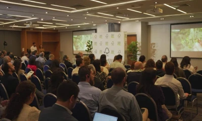 Esta propuesta busca cuantificar el valor real que aportan los bosques y las áreas naturales al clima, la economía y las comunidades / Foto: cortesía