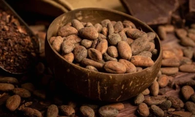 Los elevados precios comienzan a afectar la demanda global / Foto: cortesía