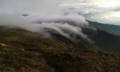 El Parque Nacional Podocarpus recibe entre 7.000 y 8.000 turistas al año / Foto: EFE