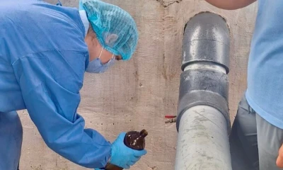 Según información oficial, entre enero de 2025 y enero de 2026 se detectaron varios incumplimientos / Foto: cortesía ARCA