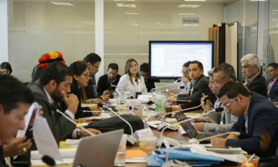 Comisión. Biodiversidad realizó el informe para que sea conocido por el Pleno. Foto: La Hora