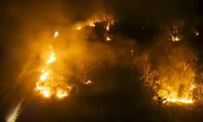 La Amazonía brasileña registró el año pasado la mayor área quemada desde 1985, más de 156.000 kilómetros cuadrados / Foto: EFE