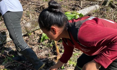 La inversión tiene un valor comercial de $ 840/ Foto: cortesía MAG