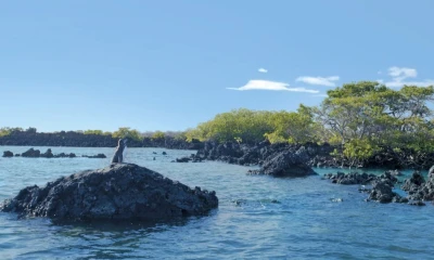 Principales noticias de Ecuador hoy - 6 de enero de 2026 / Foto: cortesía Ministerio de Turismo