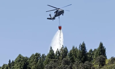 En enero han sido reportados 278 incendios, de los cuales aún siguen 20 activos / Foto: EFE