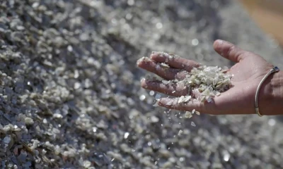 Según datos citados por la OCDE, Brasil posee más de 20 millones de toneladas de tierras raras / Foto: cortesía Foro Económico Mundial