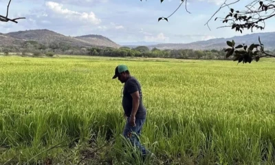 El aumento del precio del diésel y la gasolina en Ecuador, impulsado por el conflicto en Medio Oriente, impacta directamente en los costos del sector agrícola. / Foto: Archivo