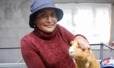 De emigrar a emprender: la nueva vida de ecuatorianos retornados de España / Foto: EFE