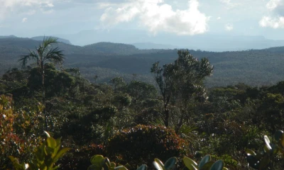 Reserva Biológica El Quimi - Foto: El Universo