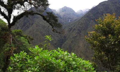 La población de la comunidad de San Andrés busca desarrollar el turismo alternativo en este sector. Foto:  El Comercio