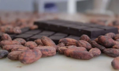 El acuerdo busca mejorar la competitividad de Ecuador frente a países como Colombia y Perú / Foto: cortesía MAGP