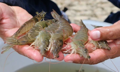Principales noticias de Ecuador hoy - 18 de julio de 2024 / Foto: cortesía